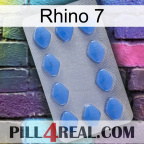 Rhino 7 21